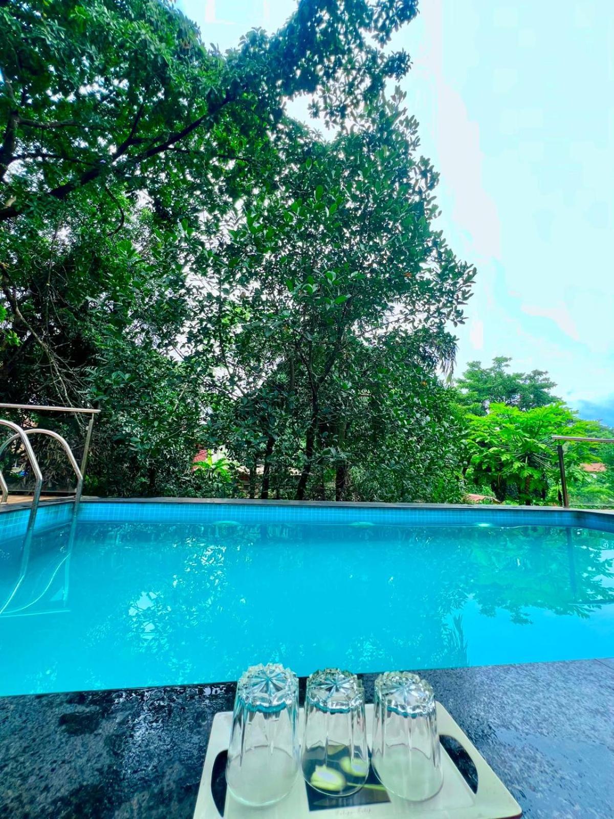 Villa Nature View - The Dream Ll Infinity Big Pool *