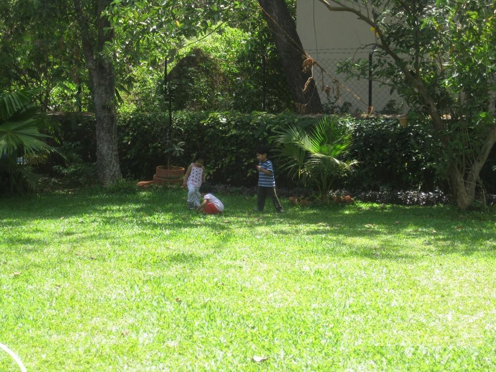 Ferreira 2*