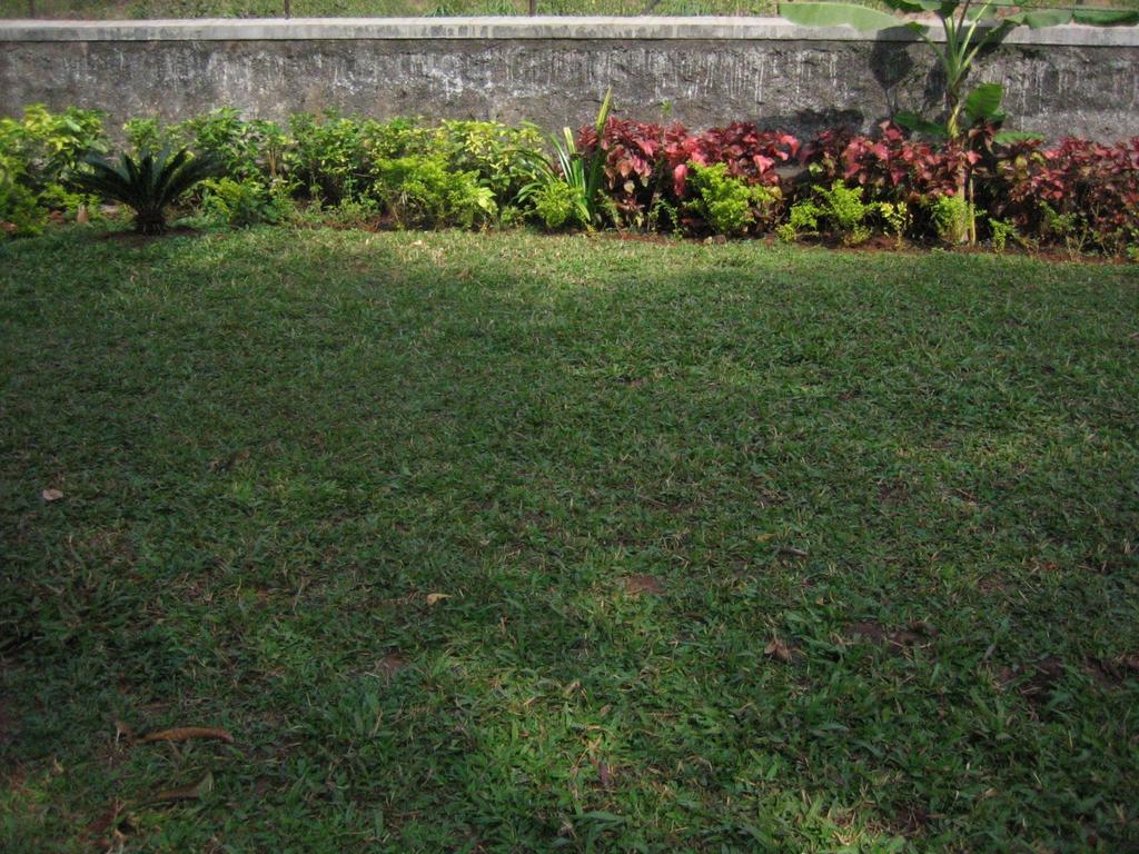 Bed & Breakfast Ferreira Lonavala