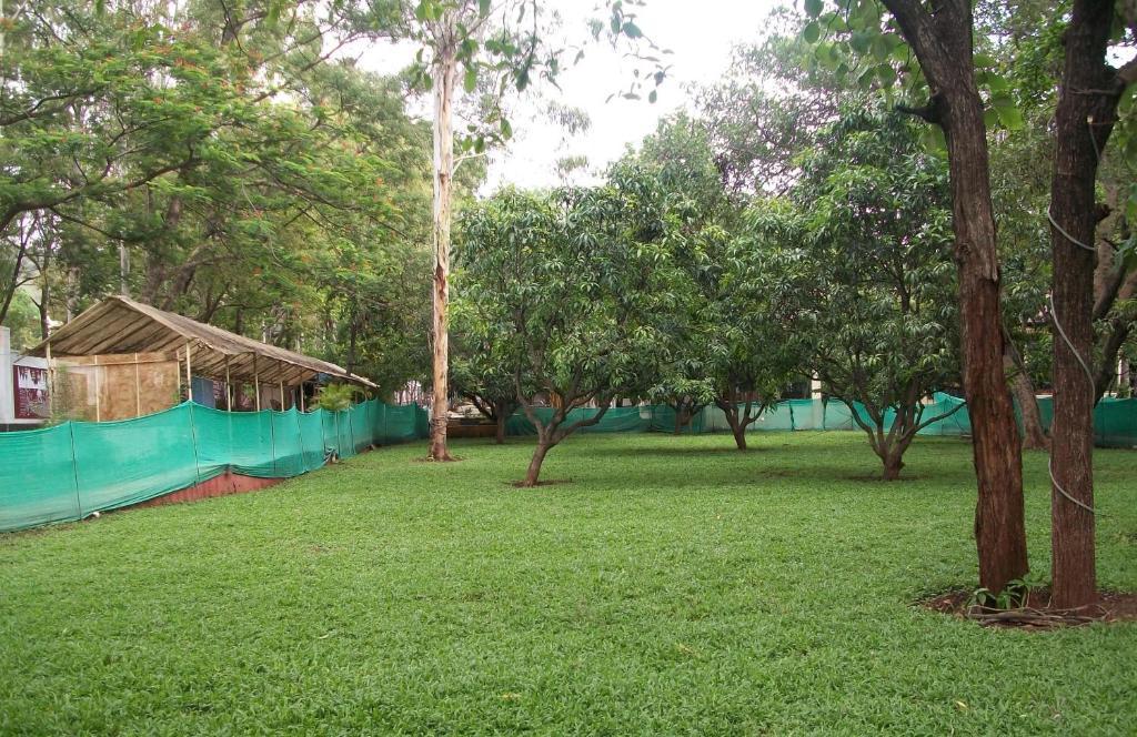 7 Apple Resort 3*
