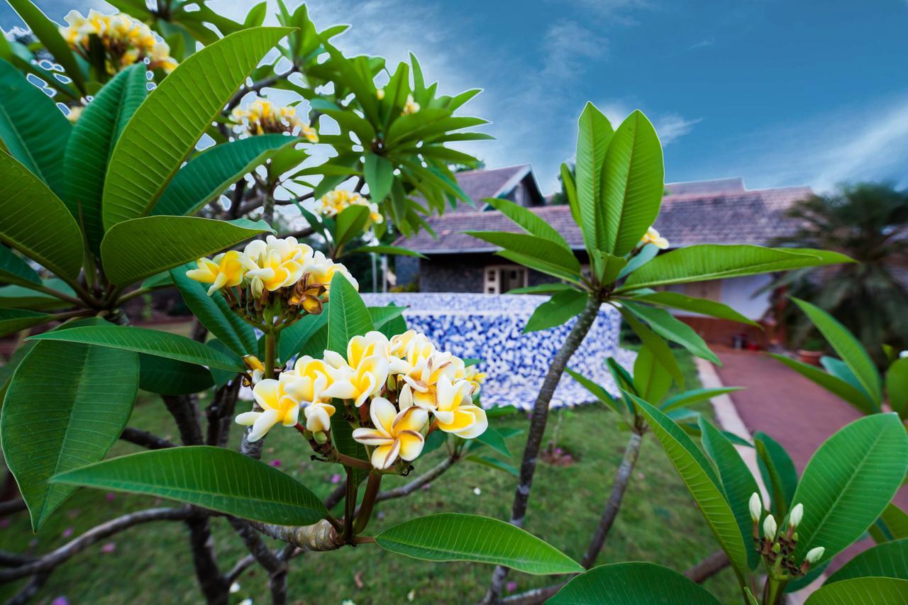 Cosy By Stayvista - A Tranquil Retreat On Cloud 9 * Lonavala