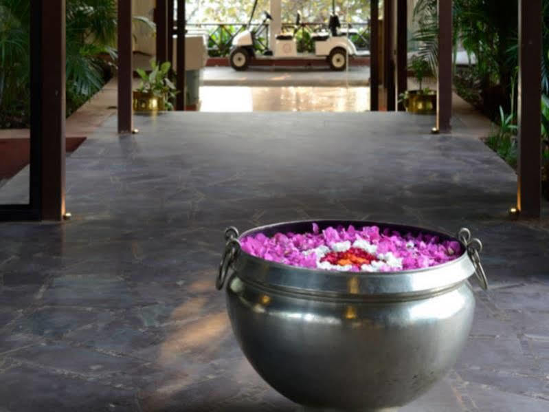Resort The Dukes Retreat Khandala 5*