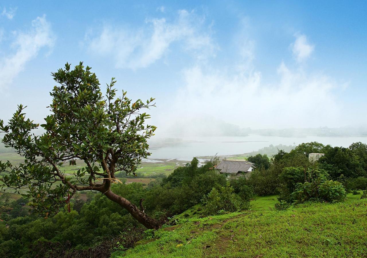 89: Stayvista's Hill-view With Eclectic Interiors Villa
