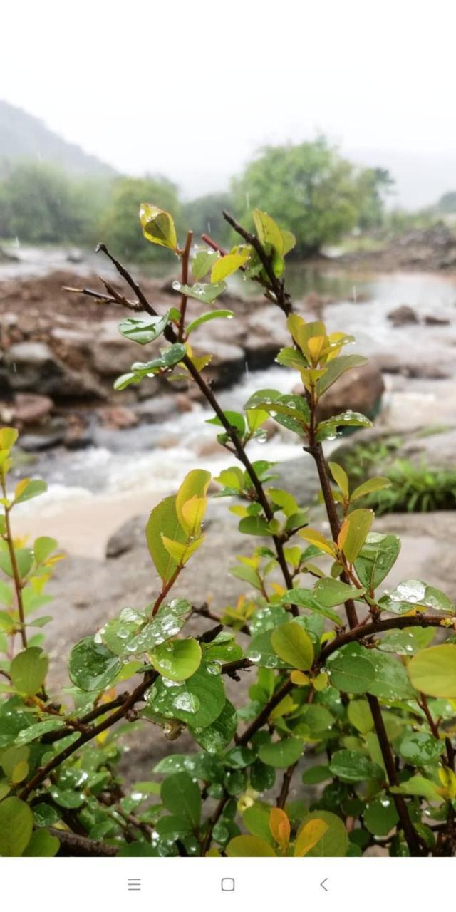 The Bougainvillea Lonavala